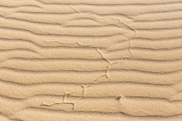 Lines in the sand of a beach, close up