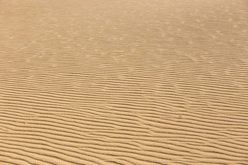 Lines in the sand of a beach, close up