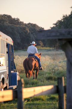 Cowboy