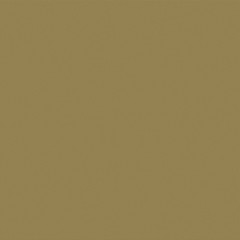 light natural linen texture for the background