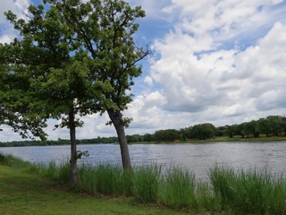 Fototapeta na wymiar Two young trees beside Guthrie Lake in Guthrie, Oklahoma
