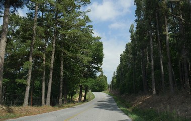 Fototapeta na wymiar Scenic drive in a paved road through tall trees and green forests heading to War Eagle Mill in Rogers, Arkansas