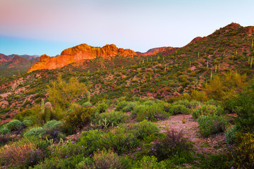 Desert Morning Mountain Range