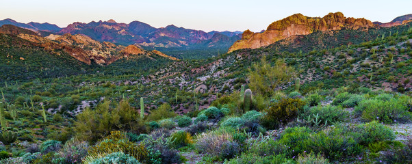 Desert Morning Mountain Range