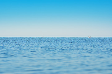 Panorama of sea waves against the blue sky