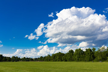 Summer Day