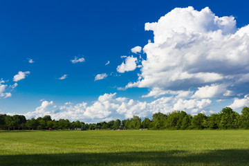 Park in Summer