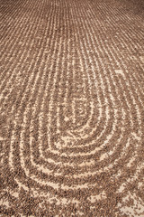 Fototapeta premium Watermelon seeds drying in sun