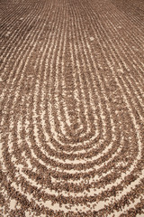 Watermelon seeds drying in sun