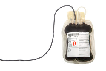 Blood bag on white background