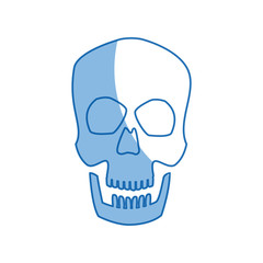 human skull male medical biology science vector illustration