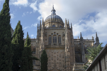 Obraz premium CATEDRAL VIEJA DE SALAMANCA DETALLES
