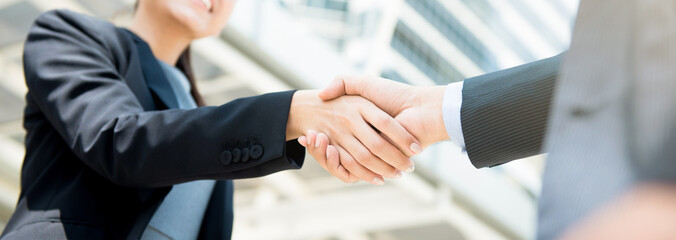 Businesswoman making handshake with a businessman