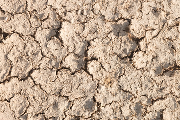 Dry cracked earth.