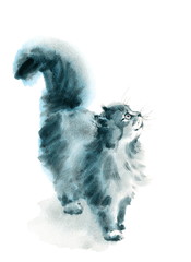 Watercolor Cat Looking Up Hand Drawn Pet Portrait Animal Illustration 