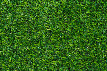 Green grass background and texture
