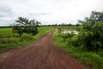 road of background