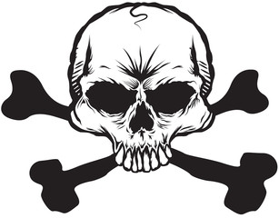 skull and bones