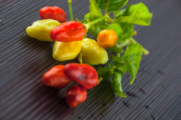 red hot chili pepper isolated on a white background