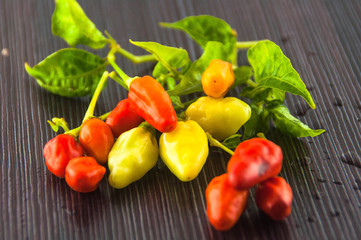 red hot chili pepper isolated on a white background