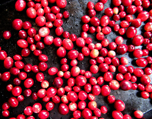Fresh cranberries, isolated on a black background.