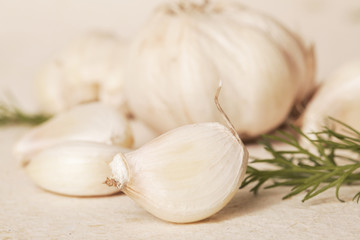 Garlic