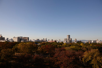 大阪城から見る大阪の街並