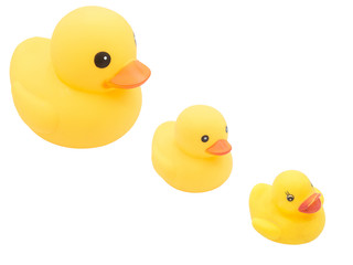 Set of Yellow rubber ducks on isolated white background.