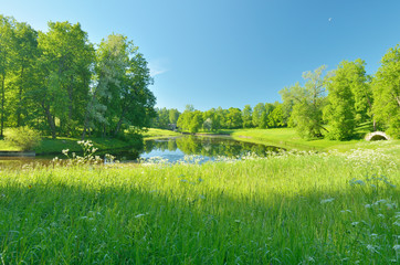 The natural landscape in the spring.
