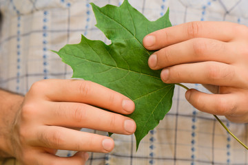 Aman holds a green maple leaf in the hands of the top and bottom