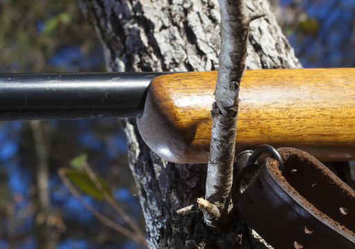 Branch rifle rest