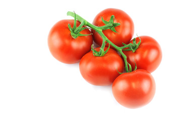 tomato isolated on white background
