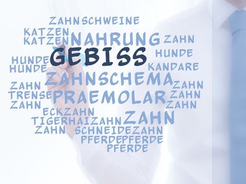 Gebiss
