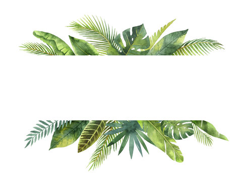Watercolor banner tropical leaves and branches isolated on white background.