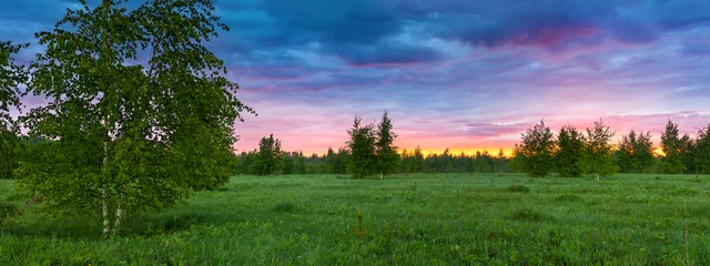 summer rural landscape with forest, a meadow and fog at sunrise © yanikap
