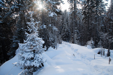 Russian winter, sideria Baikal