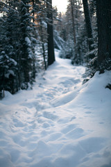 Russian winter, sideria Baikal