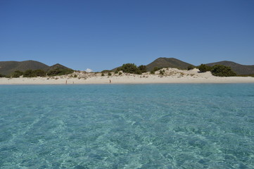 Cala zafferano , Teulada Sardegna