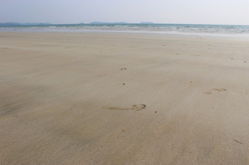砂浜に残る足跡