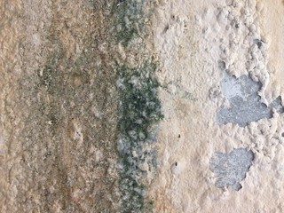 Dirty old cement wall texture for background