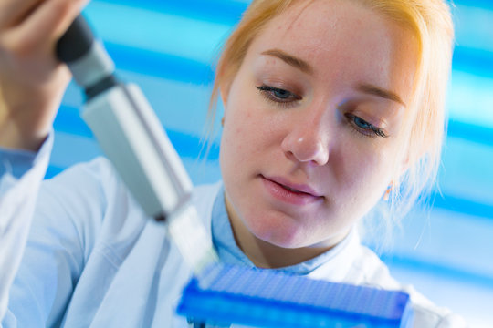 using a multi channel pipette for pcr  processing in microbiological laboratory