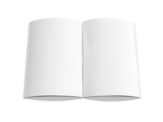blank book design