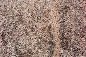 Textured background: old brick wal
