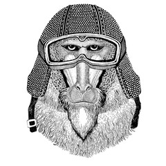 Monkey, baboon, dog-ape, ape wearing vintage motorcycle helmet Tattoo, badge, emblem, logo, patch, t-shirt
