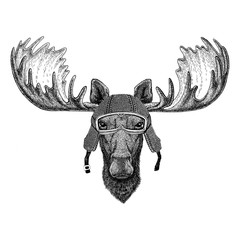 Moose, elk wearing vintage motorcycle helmet Tattoo, badge, emblem, logo, patch, t-shirt - obrazy, fototapety, plakaty