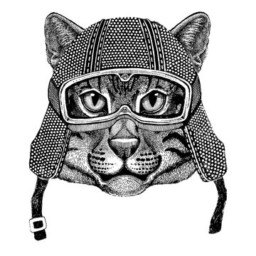 Wild cat Fishing cat wearing vintage motorcycle helmet Tattoo, badge, emblem, logo, patch, t-shirt