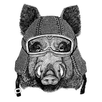 Aper, boar, hog, hog, wild boar wearing vintage motorcycle helmet Tattoo, badge, emblem, logo, patch, t-shirt