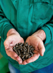 Wood pellets in man's hands. Biofuels. Cat litter. Human hand holding solid wooden pellets. Pine peletts - alternative Energy