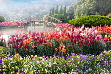 Fototapety  Kwiaty ogrodowe na górze w Tajlandii