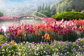 Poster Im Rahmen Gartenblumen auf dem Berg in Thailand © beerphotographer